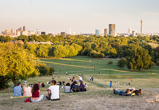 Primrose Hill London